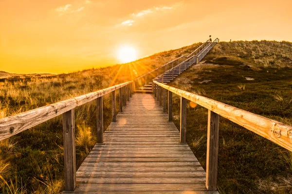 Kum tepesine tırmanan ahşap merdivenli Sylt Adası gün doğumu manzarası. Yosun kumullarıyla kaplı ahşap güverte. Alman adasındaki Kuzey Denizi 'nin doğal parkı, Sylt.
