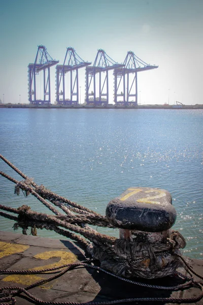 Liman Walvis Bay, Namibia