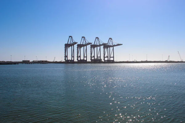 Liman Walvis Bay, Namibia