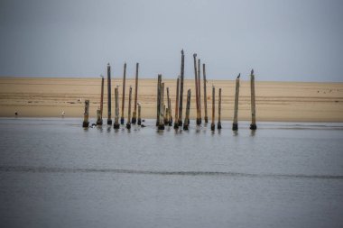 Pelican noktası, Walvis Bay