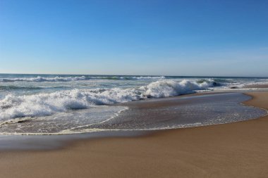 Paaltjies, Walvis Körfezi, Namibya 