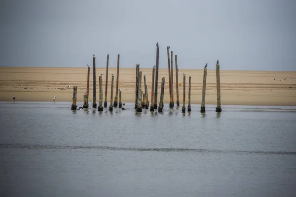 Pelican noktası, Walvis Bay