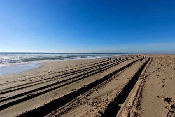 Paaltjies Walvisbucht Namibia — Stockfoto