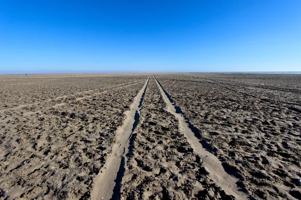 Paaltjies Walvisbucht Namibia — Stockfoto