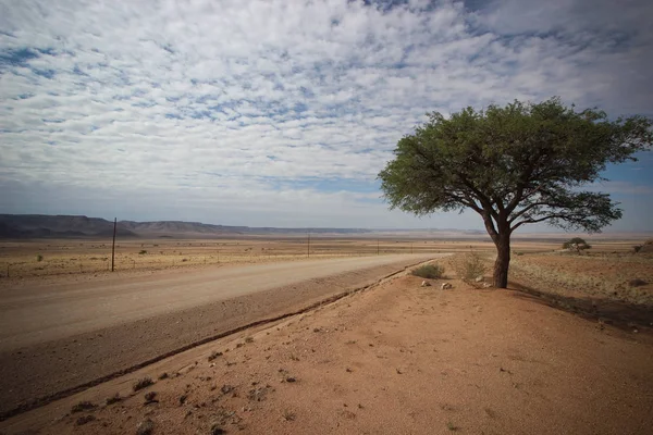 Namibisch Woestijnlandschap Namibië — Stockfoto