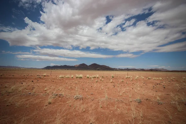 Namib Çölü manzarası, Namibya