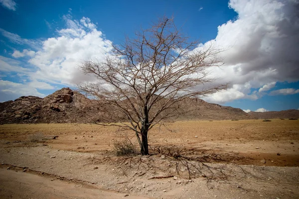 Namibisch Woestijnlandschap Namibië — Stockfoto