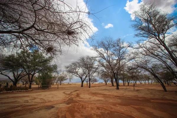 Solitaire, Namib çöl, Namibya