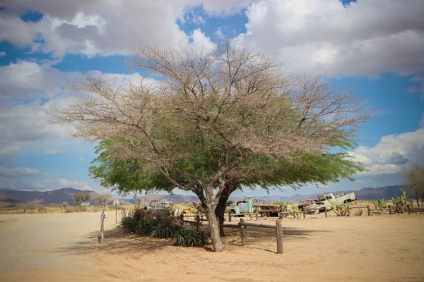 Namibisch Woestijnlandschap Namibië — Stockfoto