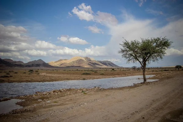 Namib Çölü manzarası, Namibya