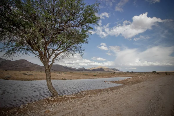 Namibisch Woestijnlandschap Namibië — Stockfoto