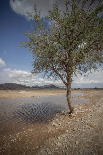 Namib Woestijn Lanscape Namibië — Stockfoto