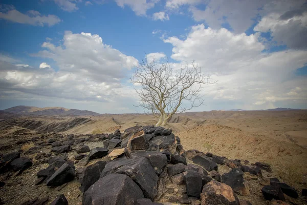 Namib Çölü peyzaj, Namibya