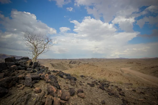Namib Çölü peyzaj, Namibya