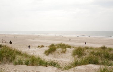 Danimarka'daki Kuzey Denizi plaj. Dune çimen