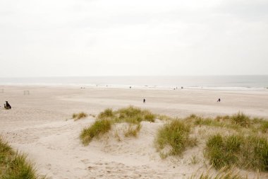 Danimarka'daki Kuzey Denizi plaj. Dune çimen