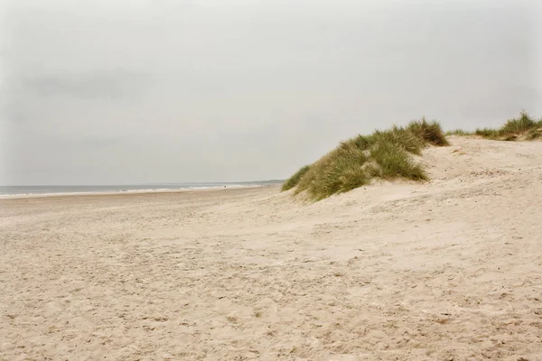 Nordsjön Stranden Danmark Dune Gräs — Stockfoto