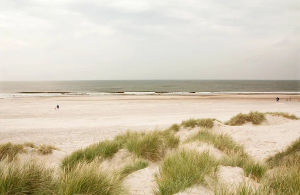 Nordsjön Stranden Danmark Dune Gräs — Stockfoto