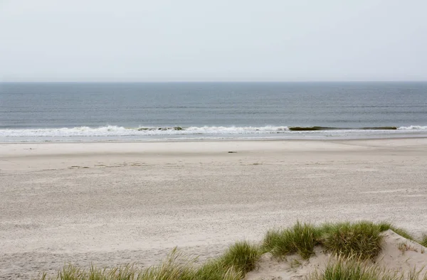 Nordsjön Stranden Danmark Dune Gräs — Stockfoto