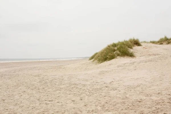 Nordsjön Stranden Danmark Dune Gräs — Stockfoto