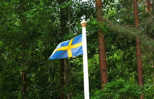 Bandera Sueca Sobre Bosque Verde —  Fotos de Stock