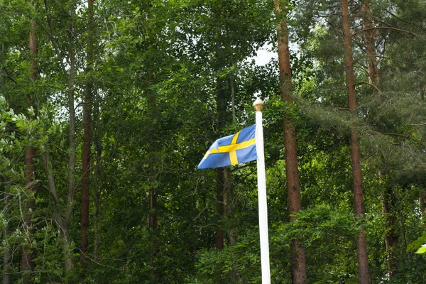Schwedische Flagge Auf Grünem Waldhintergrund — Stockfoto