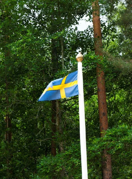 Swedish Flag Green Forest Background — Stock Photo, Image