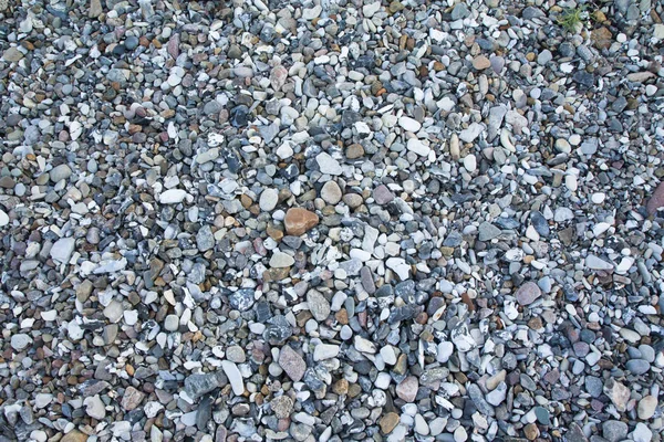 Olika Färgglada Små Pebble Beach Textur Bakgrund — Stockfoto