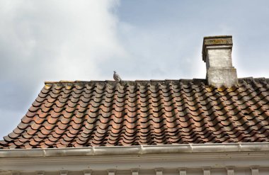 Odense, Danimarka eski şehir. HC Andersen'ın memleketi. Kiremit çatı baca ve güvercin.