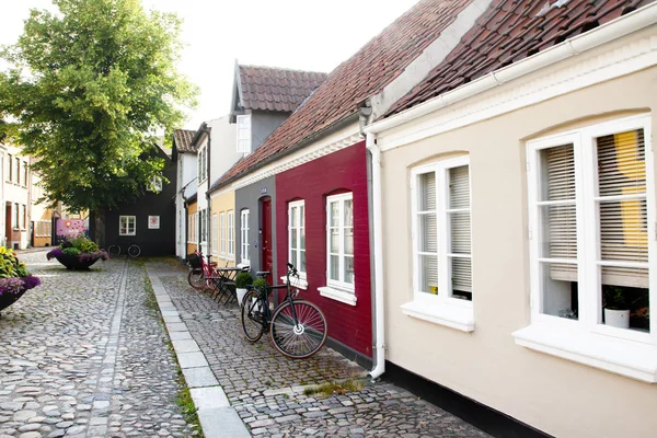 Starego Miasta Odense Dania Andersena Rodzinnym — Zdjęcie stockowe