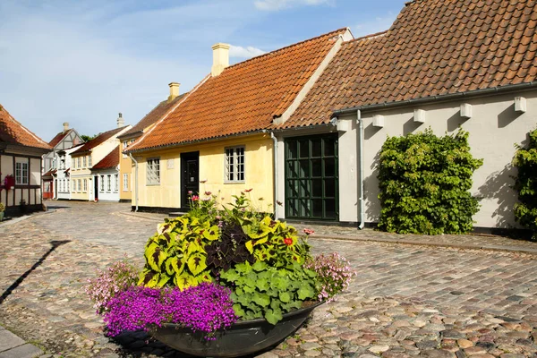 덴마크의 도시입니다 안데르센의 — 스톡 사진
