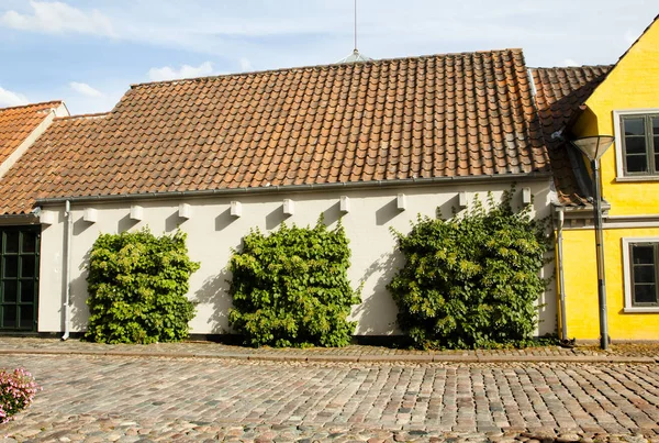 Altstadt Von Odense Dänemark Andersens Heimatstadt — Stockfoto