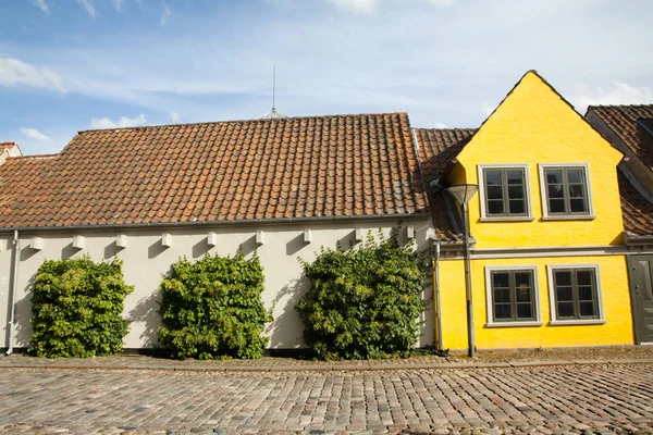 Starego Miasta Odense Dania Andersena Rodzinnym — Zdjęcie stockowe