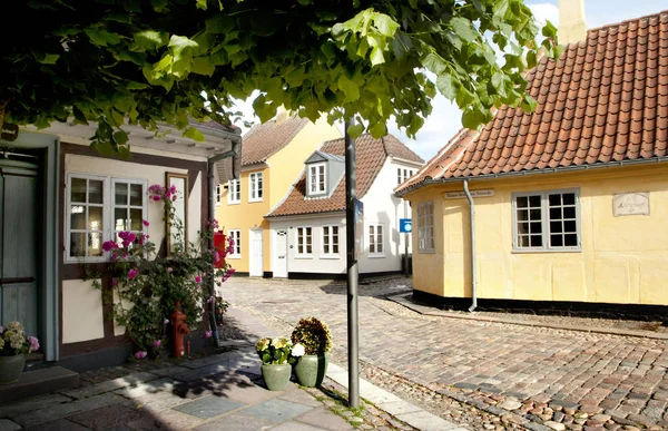 Oude Binnenstad Van Odense Denemarken Andersen Woonplaats Gele Huis Geboorteplaats — Stockfoto