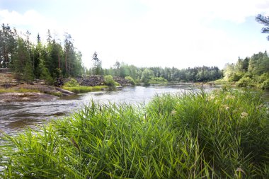 Kymijoki Nehri suları Finlandiya'da yaz peyzaj