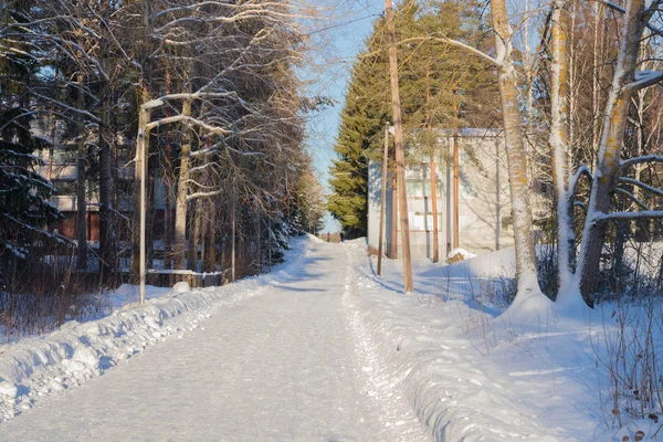 Beautiful Winter Snow Landscape Finland — Stock Photo, Image