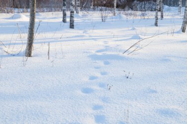 Taze beyaz kar kış arka plan.