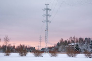 Güç hattı ve bir Kouvola, Finlandiya kış akşamları kuşlara bir sürü.