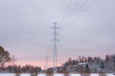 Güç hattı ve bir Kouvola, Finlandiya kış akşamları kuşlara bir sürü.