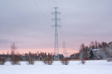 Güç hattı ve bir Kouvola, Finlandiya kış akşamları kuşlara bir sürü.