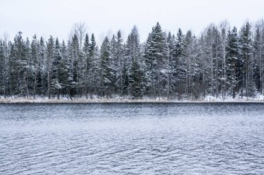 Kış güzel nehirde Kymijoki. Kouvola, Finlandiya