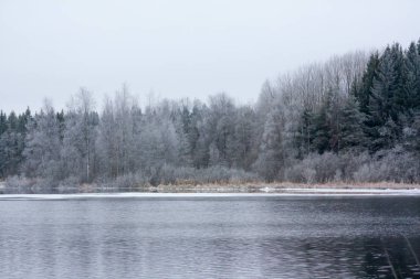Kış güzel nehirde Kymijoki. Kouvola, Finlandiya