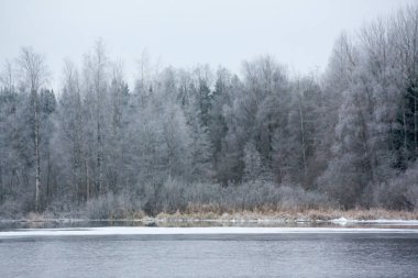 Kış güzel nehirde Kymijoki. Kouvola, Finlandiya