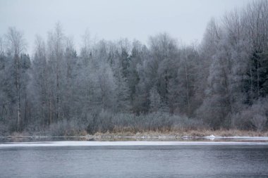 Kış güzel nehirde Kymijoki. Kouvola, Finlandiya