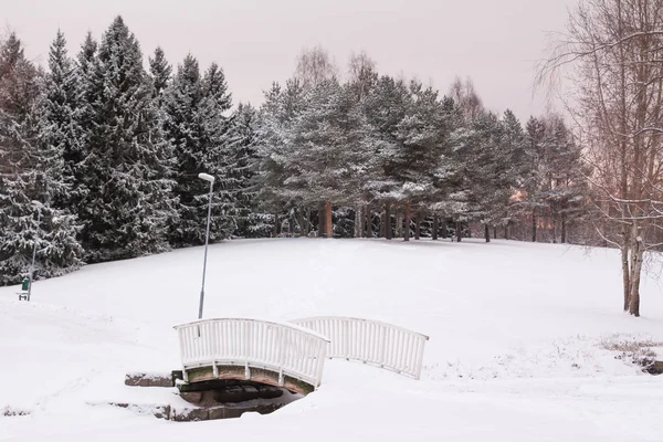 Bonita Paisagem Neve Inverno Finlândia — Fotografia de Stock