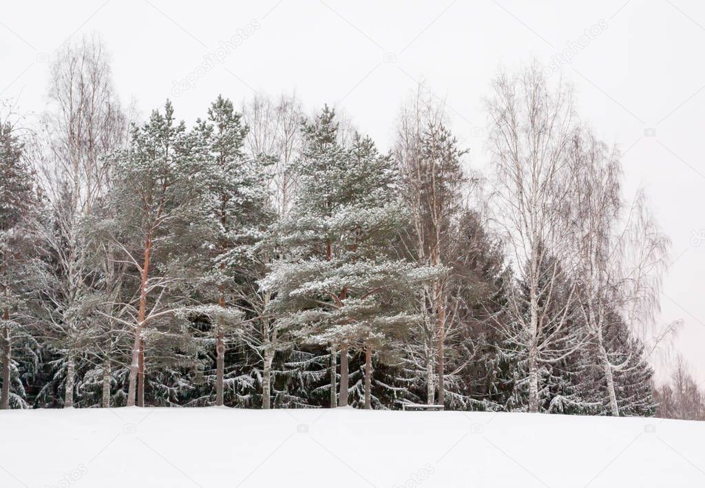 Beautiful winter snow landscape in Finland.