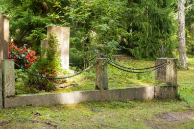 Büyük haçlar ve taşlar ile Finlandiya eski semetery