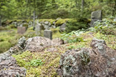 Büyük haçlar ve taşlar ile Finlandiya eski semetery