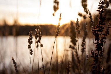Kymijoki Nehri suları batımında güzel sonbahar manzara. Finlandiya, Kymenlaakso, Kouvola