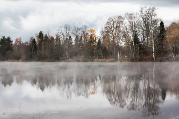 Красивый Осенний Пейзаж Вод Реки Кюмийоки Тумане Финляндия Kymenlaakso Kouvola — стоковое фото